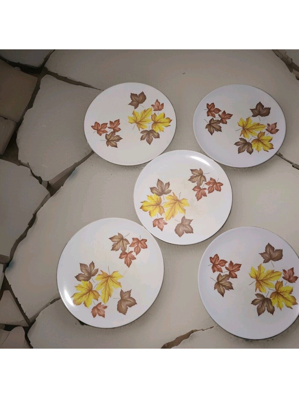 5  10 In Texas Wear By PMC Plastic Plates Vintage With Brown And Yellow Leaves